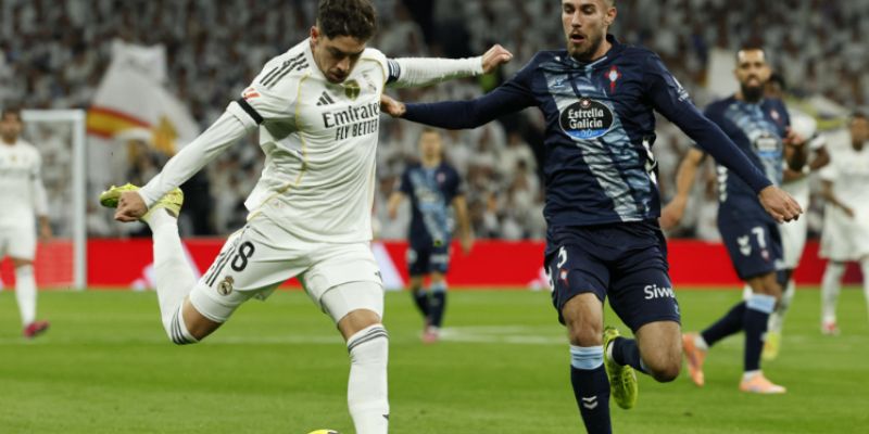 Hướng dẫn cách sử dụng